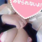 ヒメ日記 2025/06/17 12:06 投稿 ここ 新潟市鳥屋野潟ちゃんこ