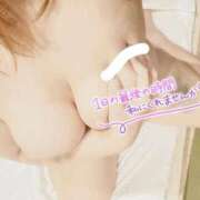 ヒメ日記 2025/11/21 18:06 投稿 ここ 新潟市鳥屋野潟ちゃんこ