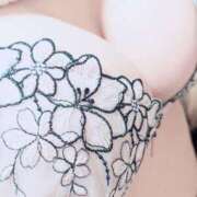 ヒメ日記 2026/01/31 09:00 投稿 ここ 新潟市鳥屋野潟ちゃんこ