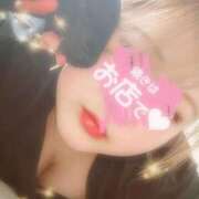 ヒメ日記 2026/02/17 08:16 投稿 ここ 新潟市鳥屋野潟ちゃんこ