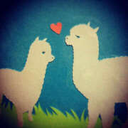 ヒメ日記 2025/03/03 12:04 投稿 あおい Hip's千葉駅前店