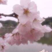 ヒメ日記 2025/03/29 12:07 投稿 あおい Hip's千葉駅前店