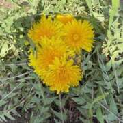 ヒメ日記 2025/04/01 21:14 投稿 あおい Hip's千葉駅前店