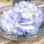 ヒメ日記 2025/04/25 06:34 投稿 あおい Hip's千葉駅前店