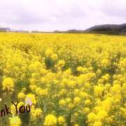 ヒメ日記 2025/04/28 12:06 投稿 あおい Hip's千葉駅前店