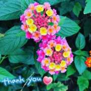 ヒメ日記 2025/05/12 00:04 投稿 あおい Hip's千葉駅前店