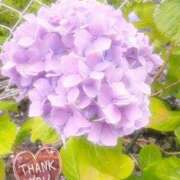 ヒメ日記 2025/06/09 22:52 投稿 あおい Hip's千葉駅前店