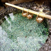 ヒメ日記 2025/12/31 23:22 投稿 あおい Hip's千葉駅前店