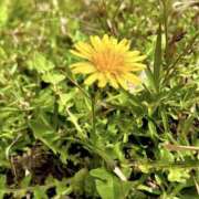 あおい ありがとう✨ Hip's千葉駅前店