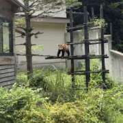 ヒメ日記 2026/07/25 17:13 投稿 あおい Hip's千葉駅前店