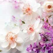 一条　しずく 11月ありがとう 三丁目の奥様（東京ハレ系）