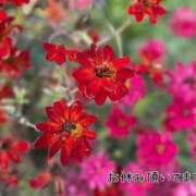 ヒメ日記 2025/03/05 15:58 投稿 みく 福岡大野城・板付インターちゃんこ