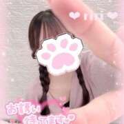 ヒメ日記 2025/06/05 13:49 投稿 黄瀬りり 池袋パラダイス