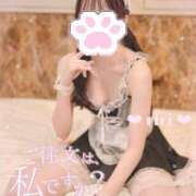 ヒメ日記 2025/07/15 22:59 投稿 黄瀬りり 池袋パラダイス