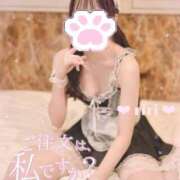 ヒメ日記 2025/09/02 12:49 投稿 黄瀬りり 池袋パラダイス