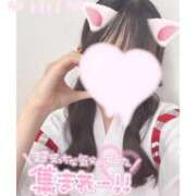 ヒメ日記 2025/10/03 08:09 投稿 黄瀬りり 池袋パラダイス