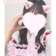 ヒメ日記 2025/10/10 19:29 投稿 黄瀬りり 池袋パラダイス