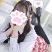 ヒメ日記 2026/02/19 16:59 投稿 黄瀬りり 池袋パラダイス