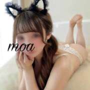 ヒメ日記 2025/02/28 12:24 投稿 【もあ】 俺の家