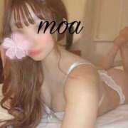 ヒメ日記 2025/04/21 12:25 投稿 【もあ】 俺の家