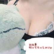 ヒメ日記 2025/02/05 08:40 投稿 しゅうな 京都出張メンズエステChou Chou（シュシュ)