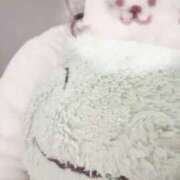 ヒメ日記 2025/02/26 10:52 投稿 しゅうな 京都出張メンズエステChou Chou（シュシュ)