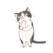 ヒメ日記 2025/02/17 17:50 投稿 みさ エディーズ