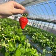 ヒメ日記 2026/02/04 00:55 投稿 ゆあ ぽっちゃり巨乳素人専門 埼玉越谷ちゃんこ