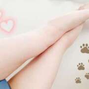 ヒメ日記 2025/02/21 17:04 投稿 あん 手コキガールズコレクション