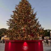 ヒメ日記 2025/12/16 20:23 投稿 美咲もな やみつきエステ錦糸町店