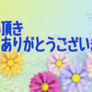 ヒメ日記 2025/02/12 15:16 投稿 沢口和美 五十路マダム姫路店