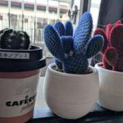 ヒメ日記 2025/05/28 08:20 投稿 西田【人妻コース】 CLUB CANDY（鳥栖店）