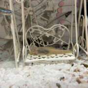 ヒメ日記 2025/04/25 14:35 投稿 みくる スピードエコ日本橋店