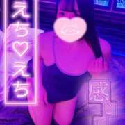 ヒメ日記 2025/03/29 09:03 投稿 メグミ バニーコレクション秋田店