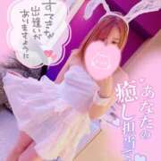 ヒメ日記 2025/05/26 13:12 投稿 メグミ バニーコレクション秋田店