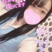 ヒメ日記 2025/06/15 13:06 投稿 メグミ バニーコレクション秋田店