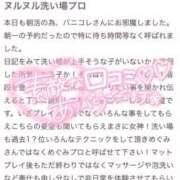 ヒメ日記 2025/06/17 19:18 投稿 メグミ バニーコレクション秋田店