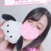 ヒメ日記 2025/08/11 06:06 投稿 メグミ バニーコレクション秋田店