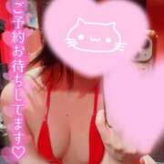 ヒメ日記 2025/08/14 06:03 投稿 メグミ バニーコレクション秋田店