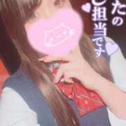 ヒメ日記 2025/08/14 07:12 投稿 メグミ バニーコレクション秋田店