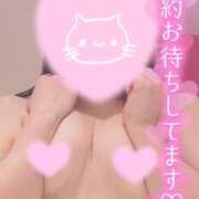 ヒメ日記 2025/08/15 12:30 投稿 メグミ バニーコレクション秋田店