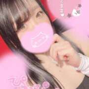 ヒメ日記 2025/08/17 07:09 投稿 メグミ バニーコレクション秋田店