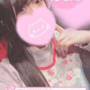 ヒメ日記 2025/10/17 09:39 投稿 メグミ バニーコレクション秋田店