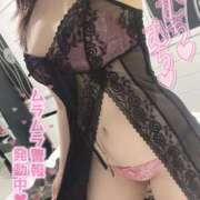 ヒメ日記 2025/10/19 18:30 投稿 メグミ バニーコレクション秋田店