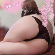 ヒメ日記 2025/11/11 07:13 投稿 メグミ バニーコレクション秋田店