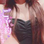 ヒメ日記 2025/11/12 06:03 投稿 メグミ バニーコレクション秋田店