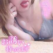 ヒメ日記 2025/11/23 09:53 投稿 メグミ バニーコレクション秋田店