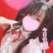 ヒメ日記 2025/12/13 06:19 投稿 メグミ バニーコレクション秋田店