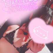 ヒメ日記 2025/12/23 12:29 投稿 メグミ バニーコレクション秋田店