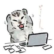 ヒメ日記 2026/01/02 10:03 投稿 メグミ バニーコレクション秋田店